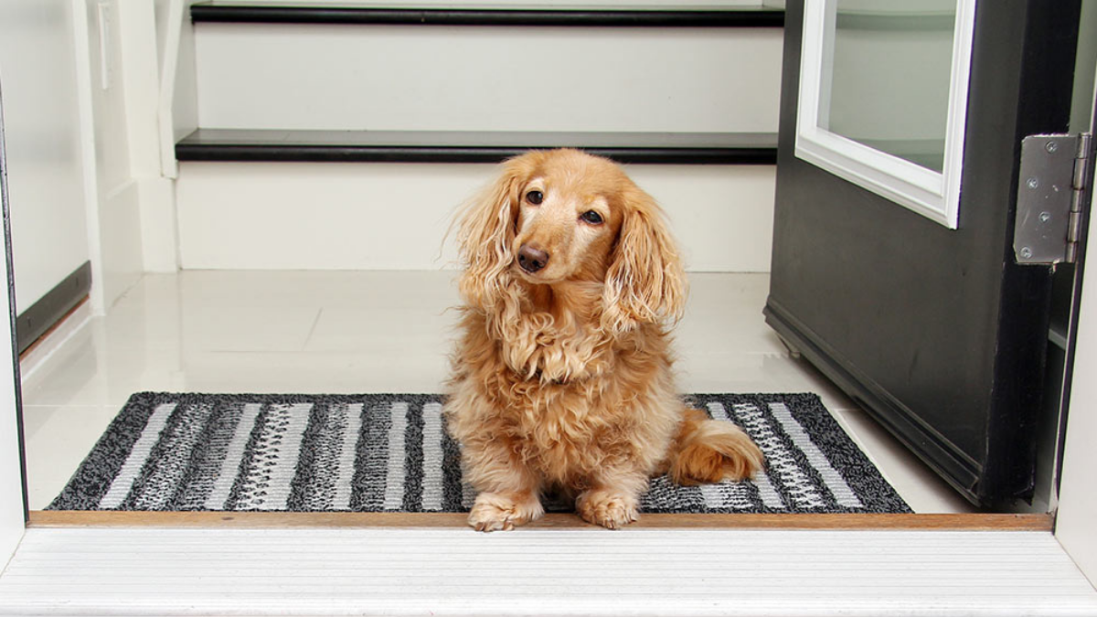 The Best Places to Put a Doormat Canada Mats