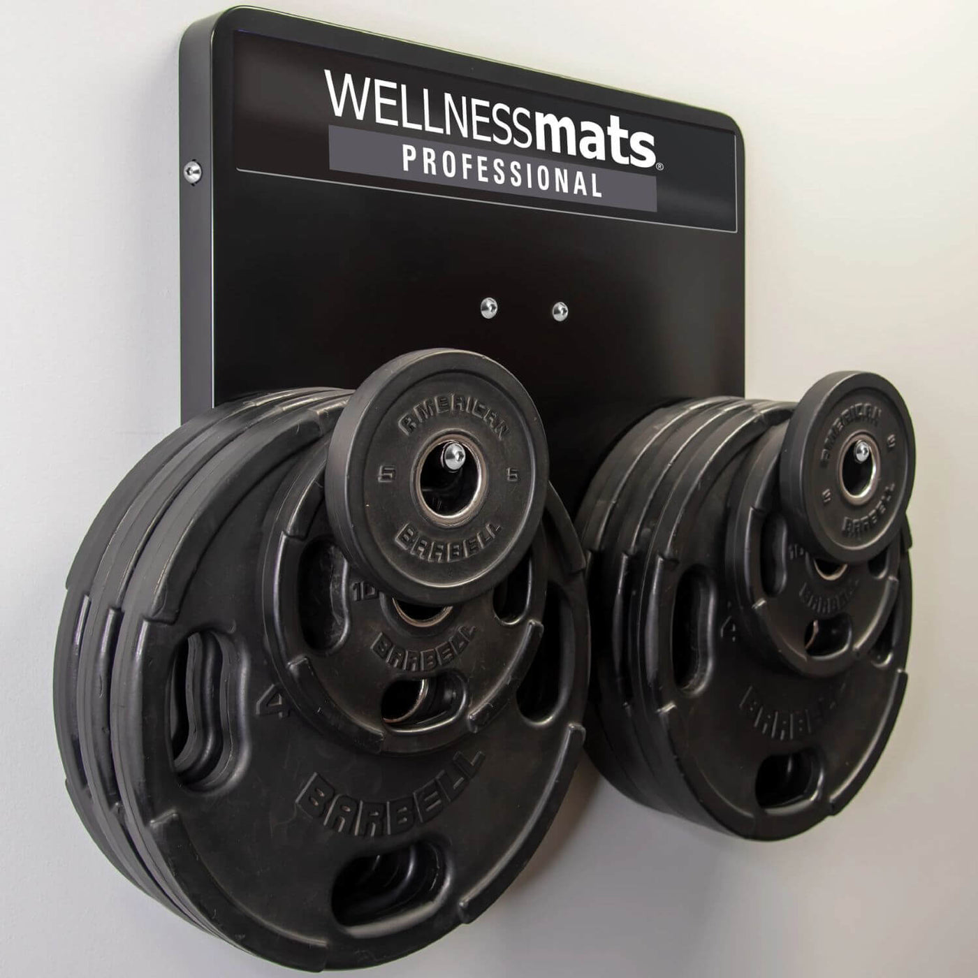 Pro Series Wall Storage Station