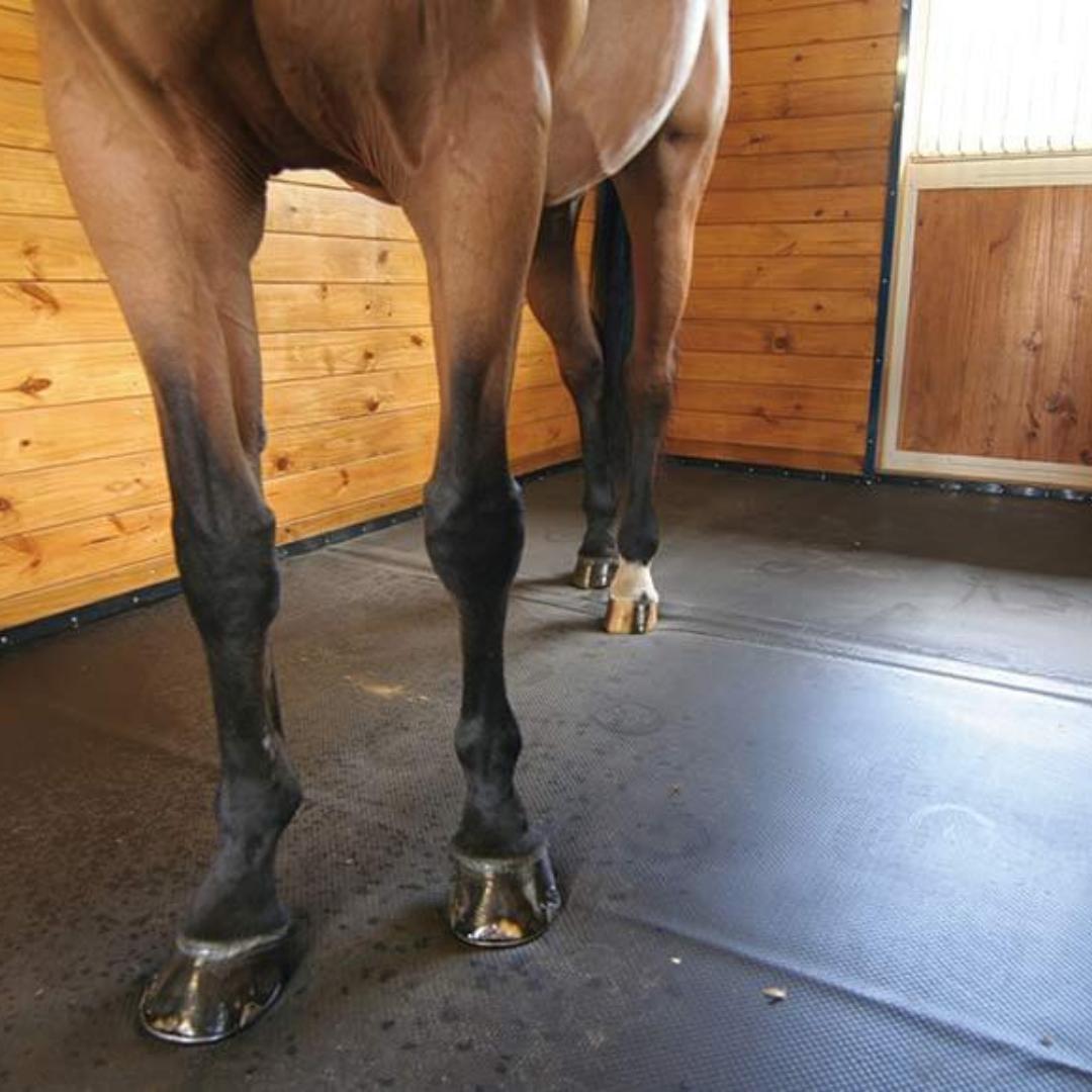Bulk Revulcanized Rubber Horse Stall Mats Canada Mats