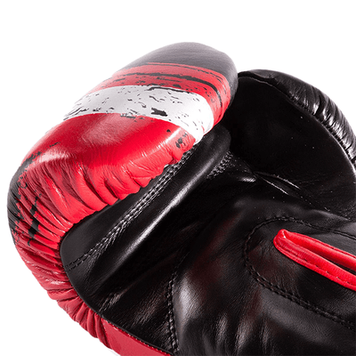 Drako True North Boxing Gloves