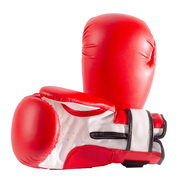 Drako Vinyl Boxing Gloves