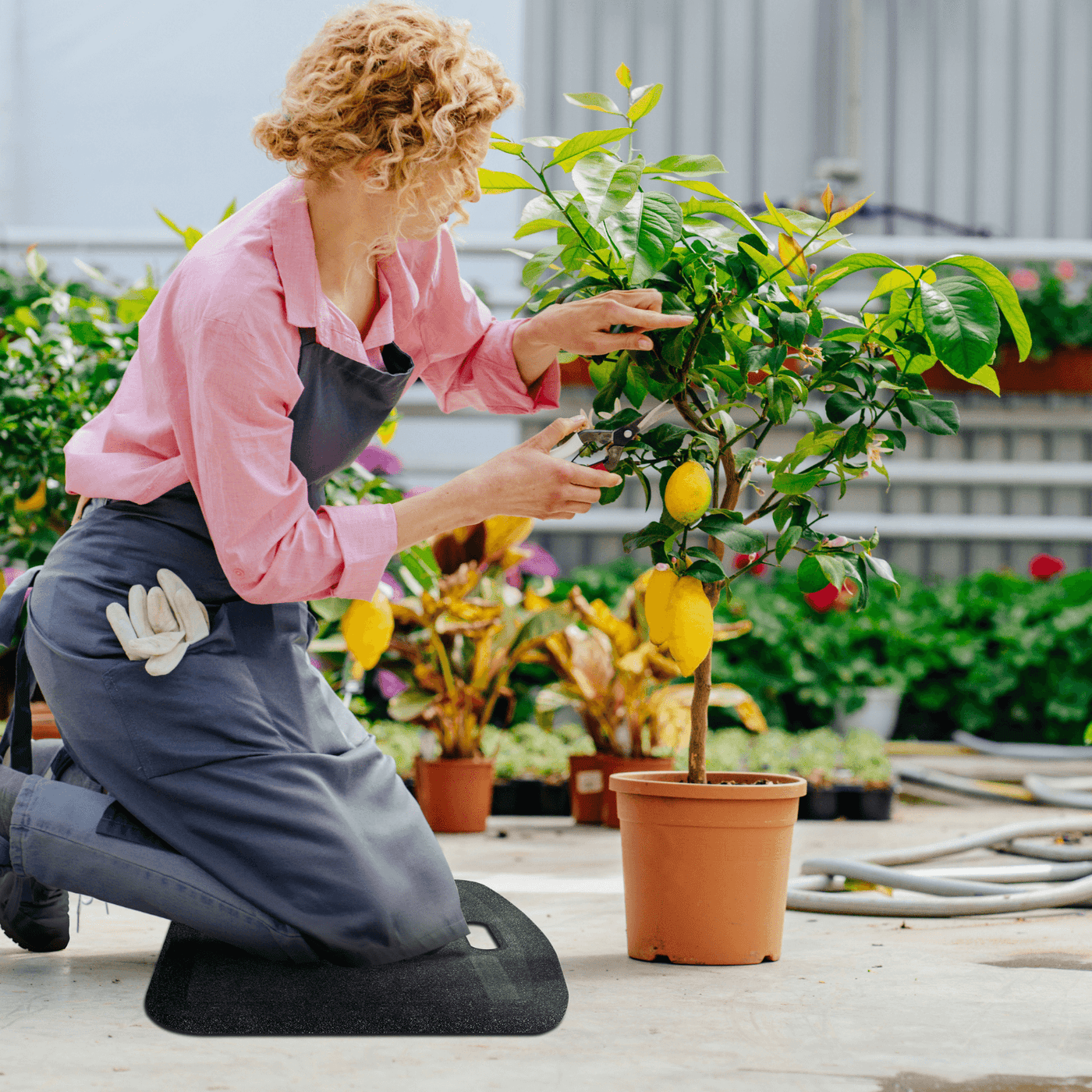 Smart Step Mobile Pro