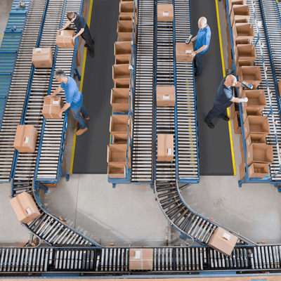 Smart Step Supreme with Dual Gripper