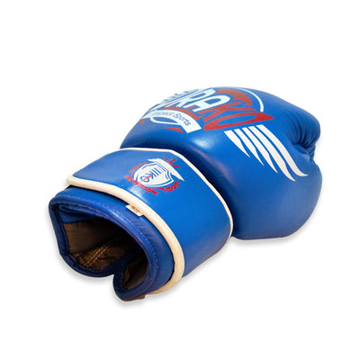 Drako Warwing Muay Thai Gloves