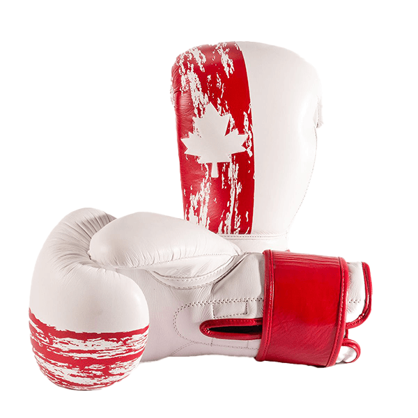 Drako Patriot Boxing Glove