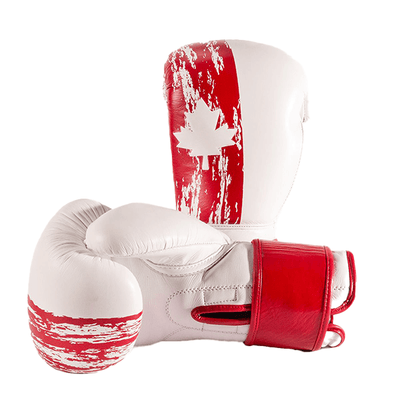 Drako Patriot Boxing Glove