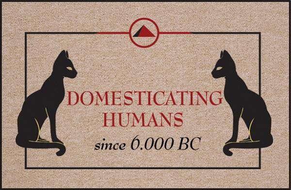 FUNNY DOORMAT - DOMESTICATING HUMANS